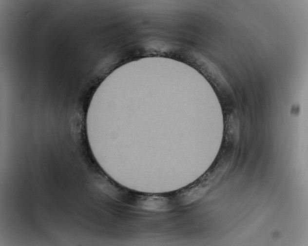 X0000102860463200809151215