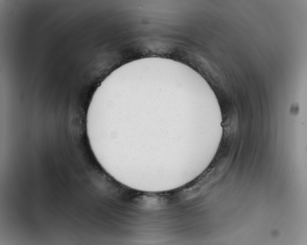 X0000102860464200809151215