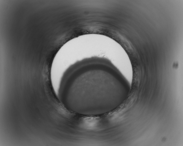 X0000102860465200809151215