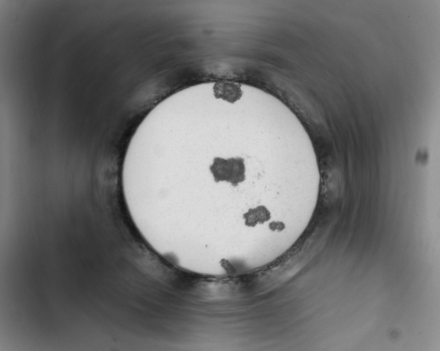 X0000102860466200809151215