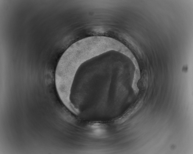 X0000102860467200809151215