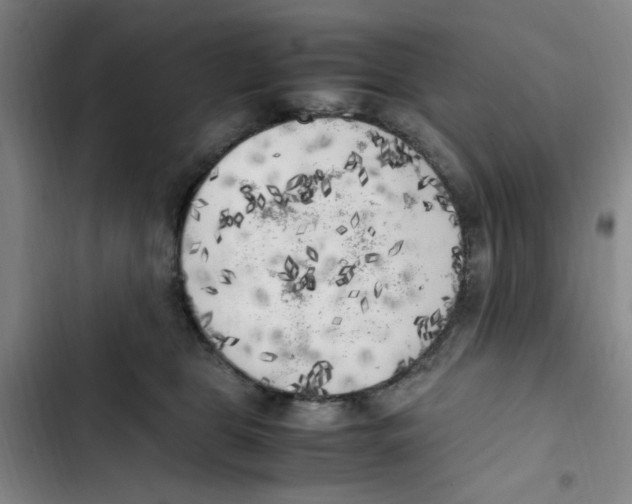 X0000102860469200809151215