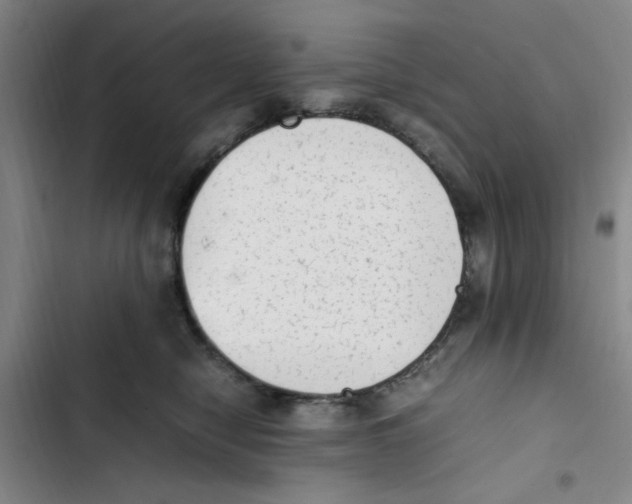 X0000102860470200809151215