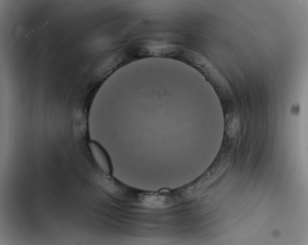 X0000102860471200809151215