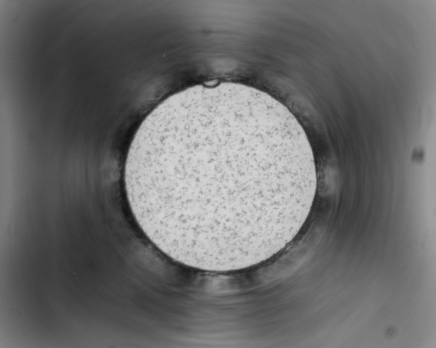 X0000102860472200809151215