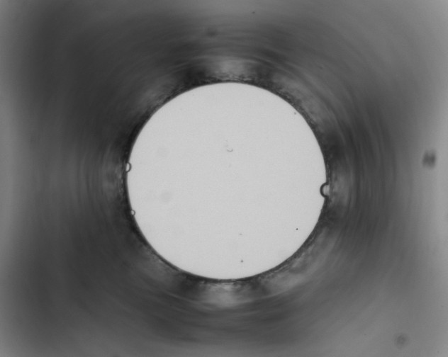 X0000102860473200809151215