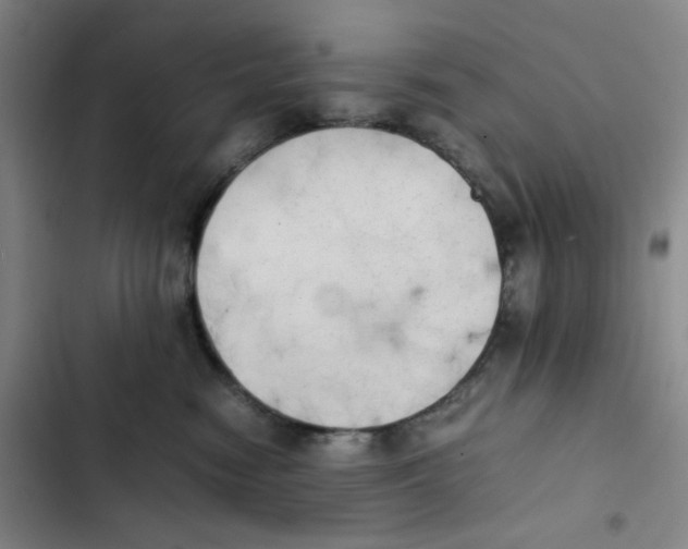 X0000102860474200809151215