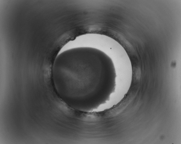 X0000102860475200809151215
