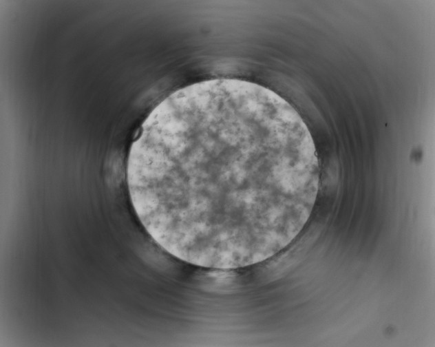 X0000102860478200809151215