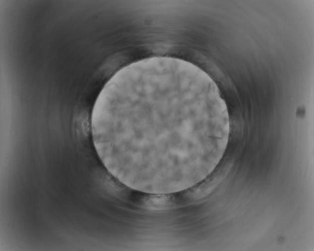 X0000102860479200809151215