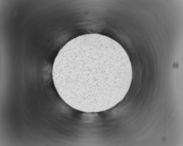 X0000102860480200809151215