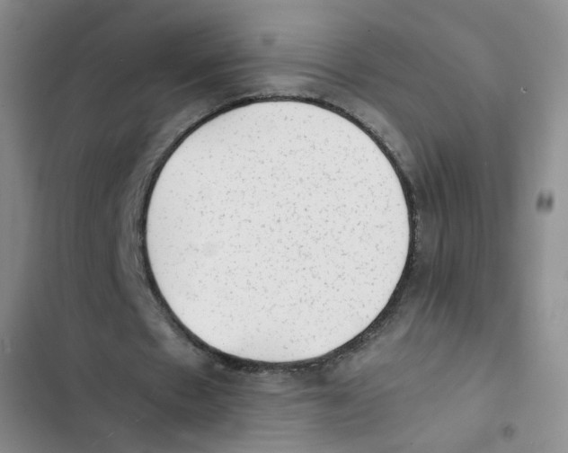 X0000102860481200809151215