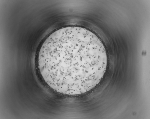 X0000102860482200809151215