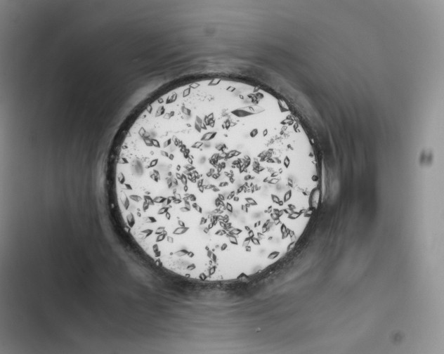 X0000102860483200809151215