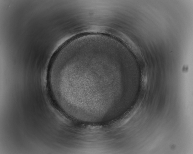 X0000102860484200809151215