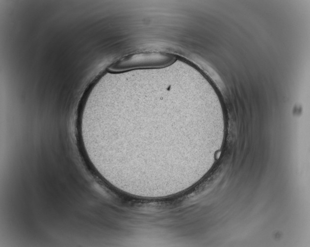 X0000102860485200809151215