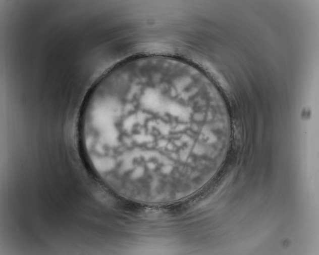 X0000102860487200809151215