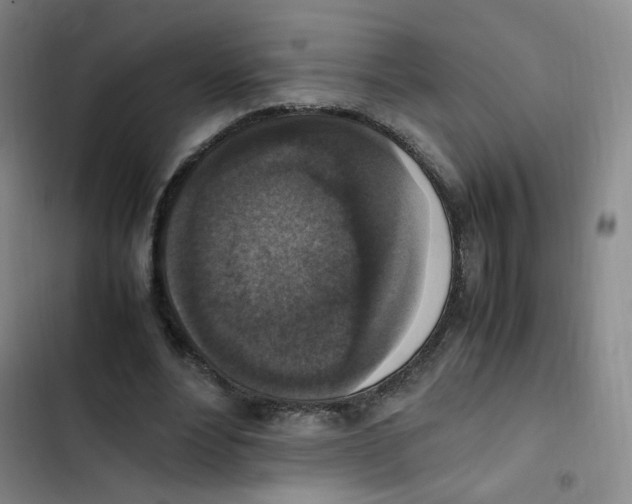X0000102860488200809151215