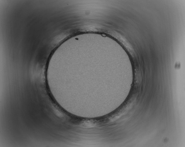 X0000102860489200809151215