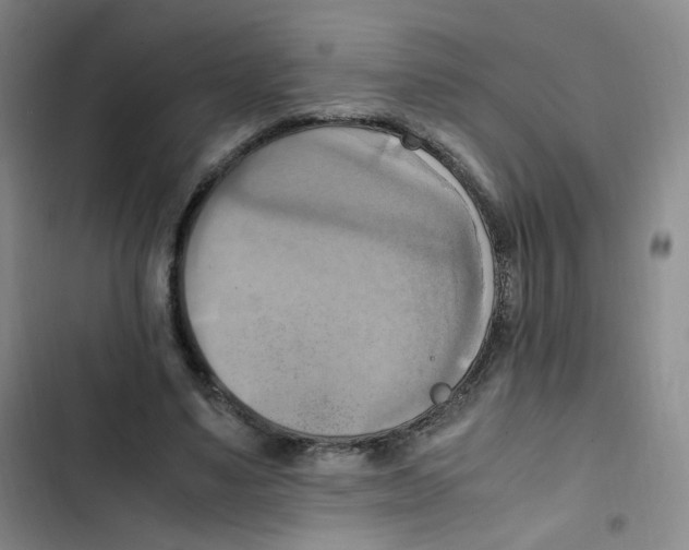X0000102860491200809151215