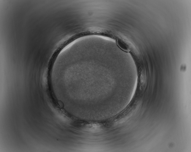 X0000102860492200809151215