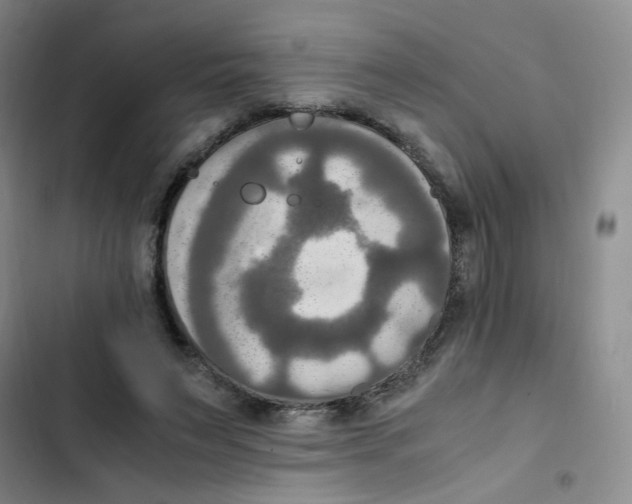 X0000102860495200809151215