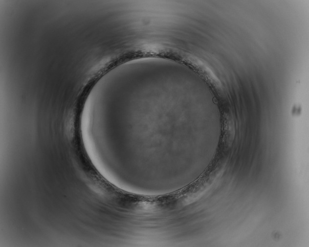 X0000102860496200809151215