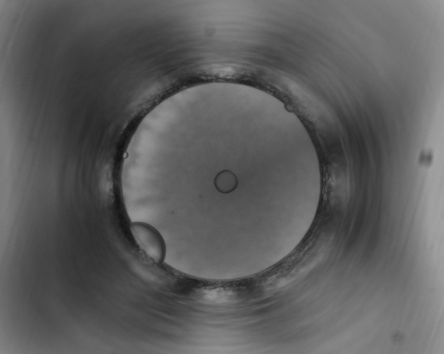 X0000102860500200809151215