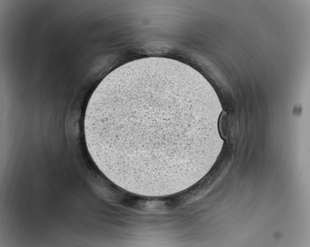 X0000102860501200809151215