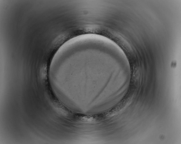 X0000102860502200809151215