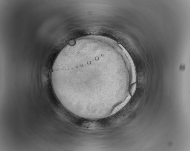 X0000102860503200809151214