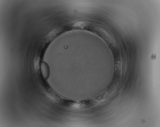 X0000102860504200809151214