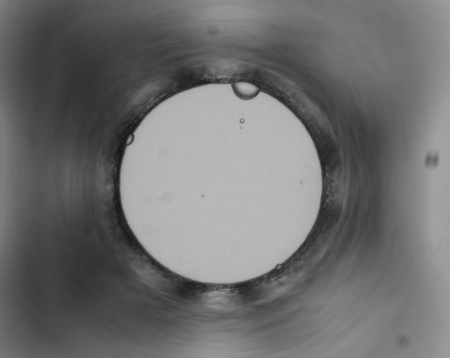 X0000102860505200809151214