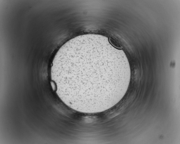 X0000102860508200809151214