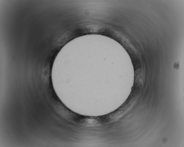 X0000102860509200809151214