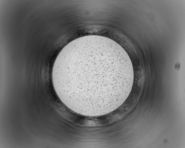X0000102860510200809151214