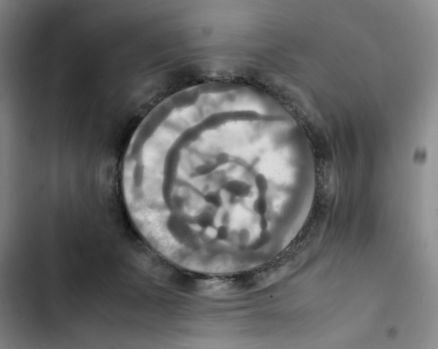 X0000102860511200809151214