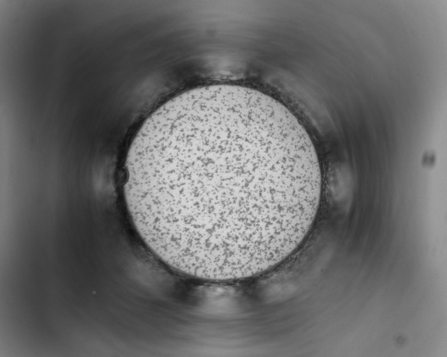 X0000102860512200809151214