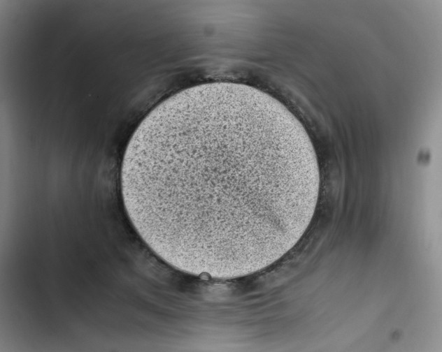 X0000102860513200809151214