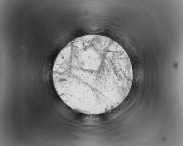 X0000102860515200809151214