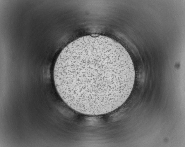 X0000102860516200809151214