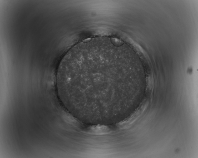 X0000102860517200809151214