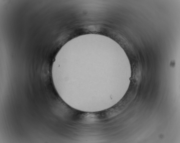 X0000102860518200809151214