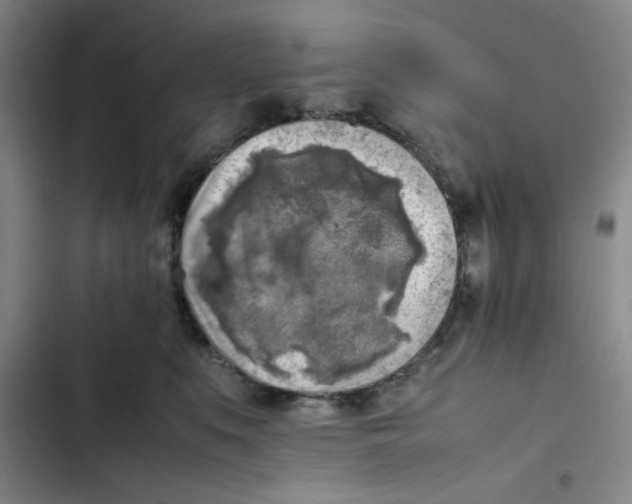 X0000102860519200809151214