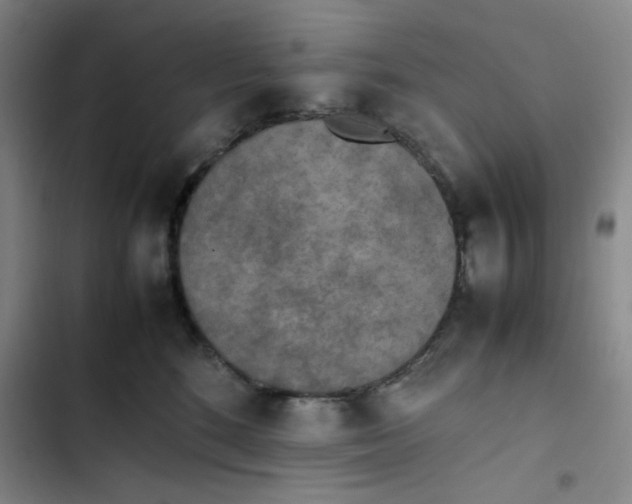 X0000102860520200809151214