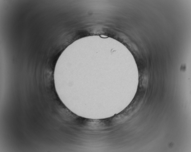 X0000102860521200809151214