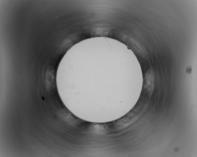 X0000102860522200809151214