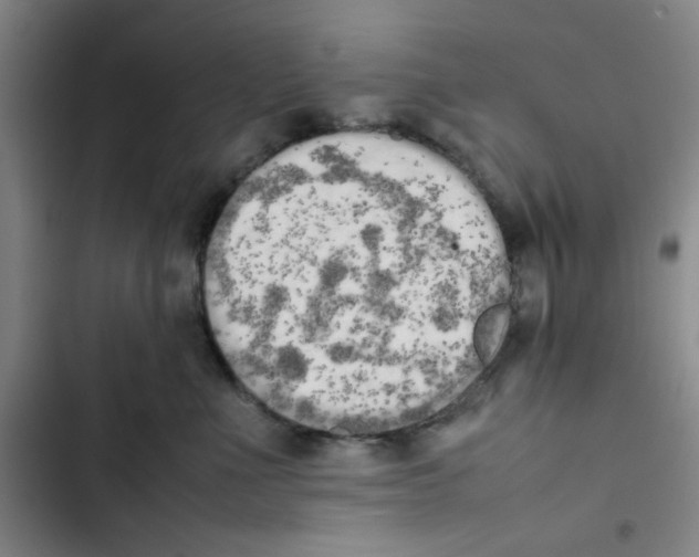 X0000102860523200809151214