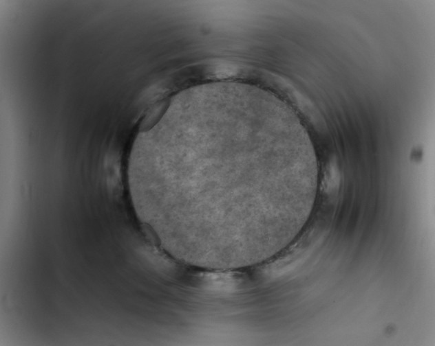 X0000102860524200809151214