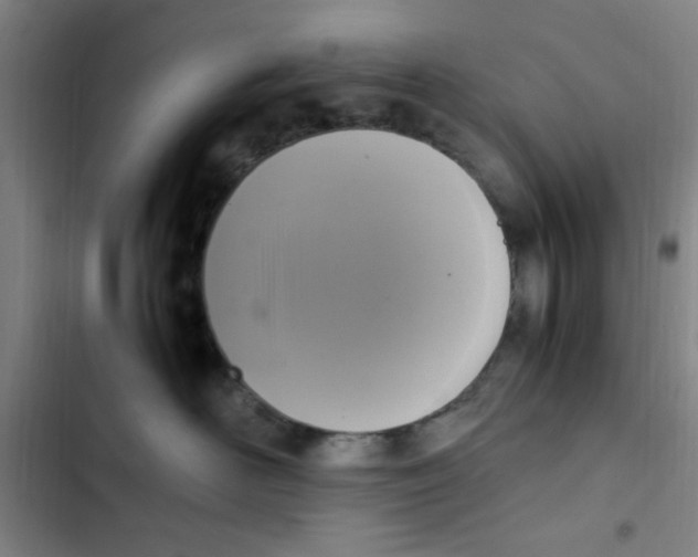 X0000102860526200809151214